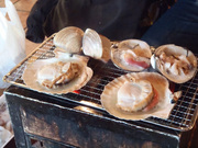 20110220_p2190038.jpg