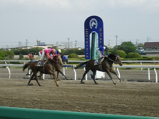 20110504_imgp0102.jpg
