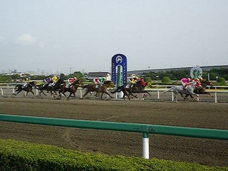 20110504_imgp0128.jpg
