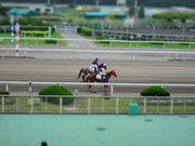 20110626_img_0063.jpg