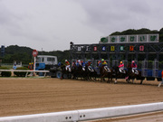 20110815_img_0626.jpg