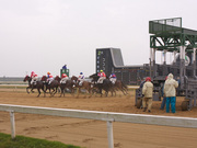 20111014_img_1822.jpg