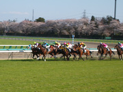 20120408_p4080158.jpg
