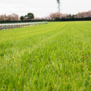 20120415_p4150362.jpg