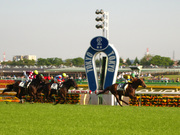 20120428_p4280433.jpg