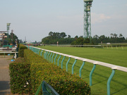 20120812_p8121063.jpg