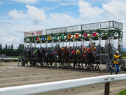 20120814_p8141166.jpg