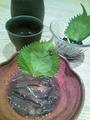 20120814_203337.jpg
