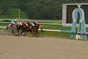 20130814_p8143426.jpg