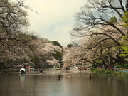 20140405_p4055865.jpg
