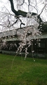 20180325_101011.jpg